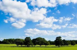 夏季臭氧污染防治攻坚行至中场 95个城市治理成效如何