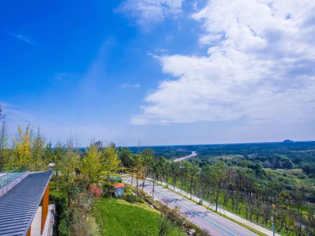 打好打赢蓝天保卫战，臭氧污染治理应该如何推进？